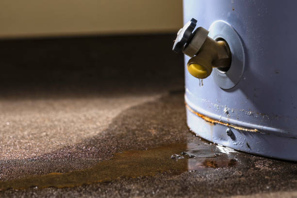 Best Water damage restoration cost  in Mattituck, NY