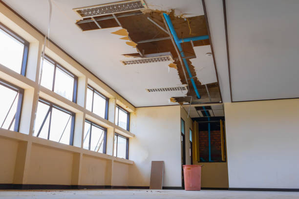 Best Ceiling water damage repair  in Mattituck, NY