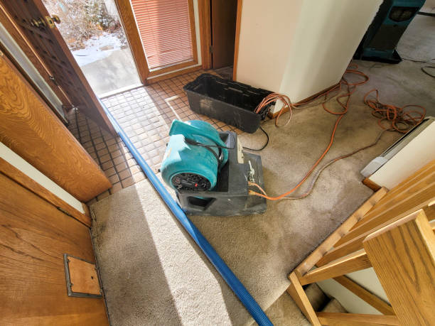 Best Fire Damage Restoration  in Mattituck, NY