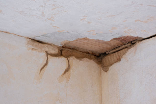 Best Flood damage cleanup  in Mattituck, NY