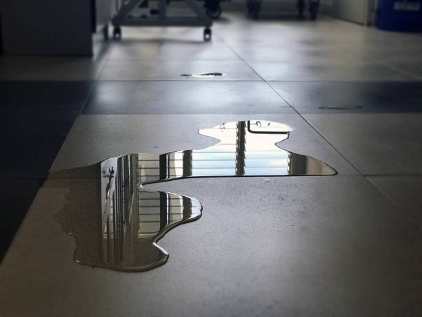 Best Commercial water damage restoration  in Mattituck, NY